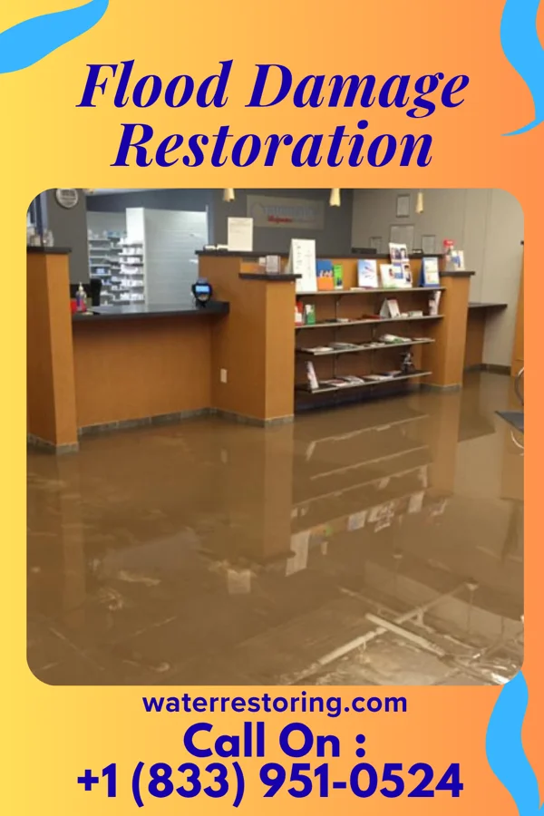 Flood Damage Restoration in Danbury, NE