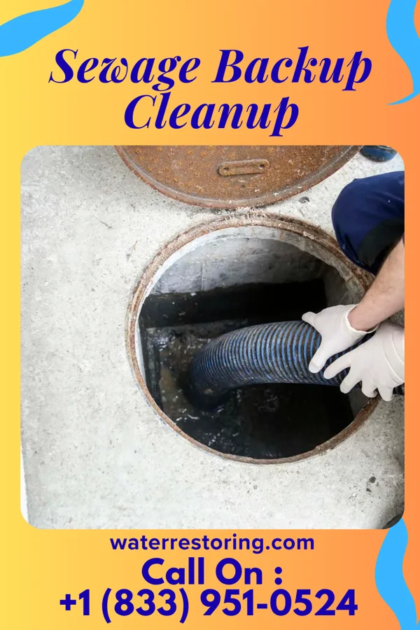 Sewage Backup Cleanup in Danbury, NE